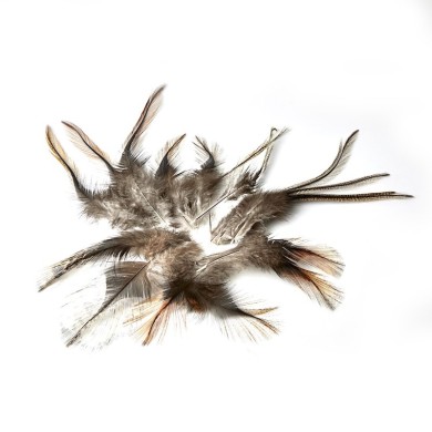 JMC Pardo Flor de Escobar Grade 1-