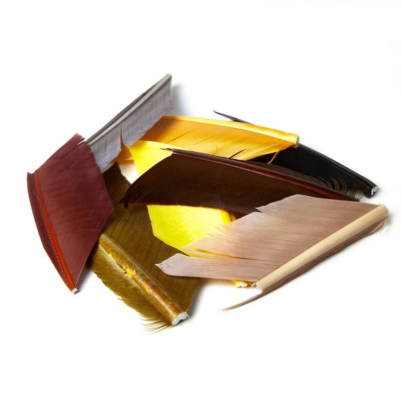 JMC Substitut de Condor-