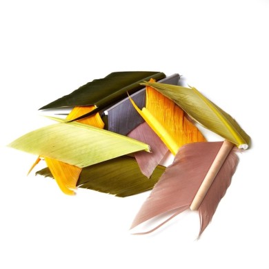 JMC Quill d’Aile de Dinde-