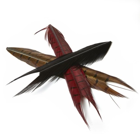 JMC Queue de Faisan-