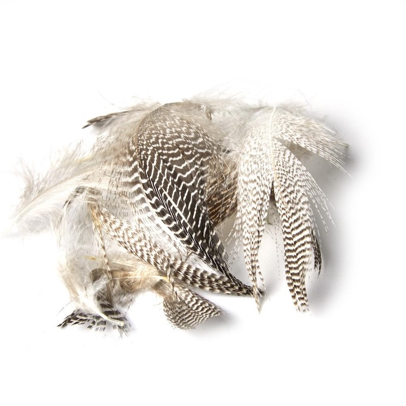 JMC Plume de Sarcelle-