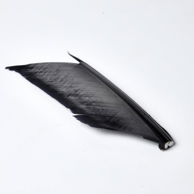 JMC Substitut de Condor-