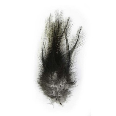 JMC Pardo Incendido Grade 1-