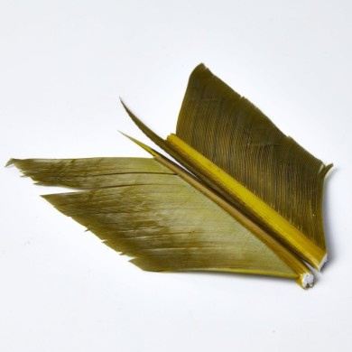 JMC Quill d’Aile de Dinde-