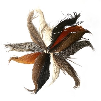 Whiting Farms Demi Cou Hebert Bronze G3-