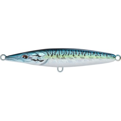 Blue Mackerel