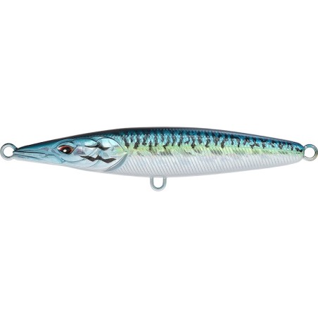 Blue Mackerel