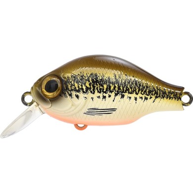 U020 MINNOW OB UV
