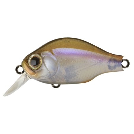 817 KANTO REAL WAKASAGI