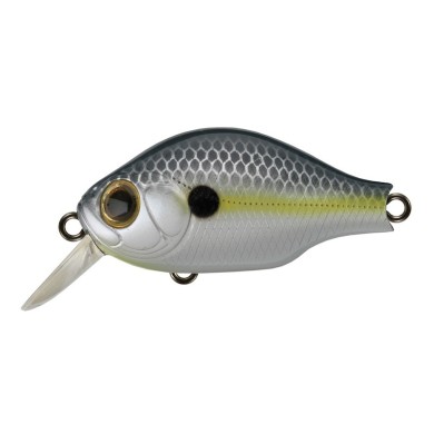 353 NATURAL SHAD