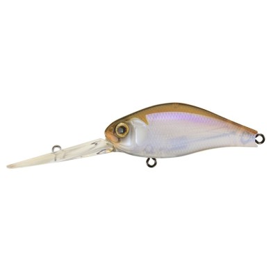 817 KANTO REAL WAKASAGI