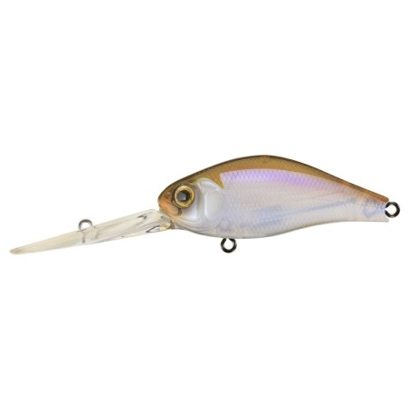 817 KANTO REAL WAKASAGI