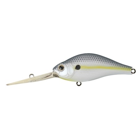 353 NATURAL SHAD