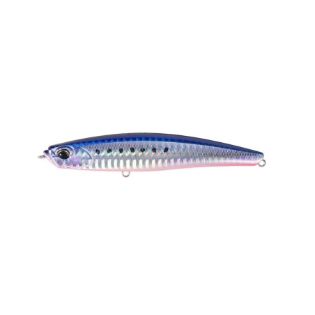 Mazume Sardine