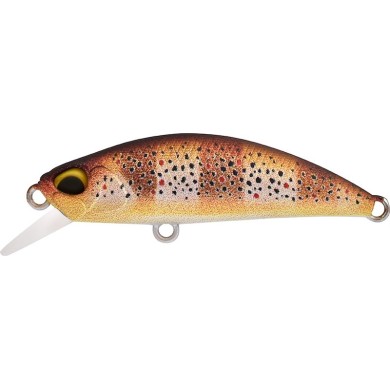 ACCZ569 MAT ZEBRA TROUT UV (UF)