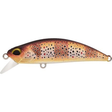 ACCZ569 MAT ZEBRA TROUT UV (UF)