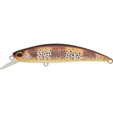ACCZ569 MAT ZEBRA TROUT UV (UF)