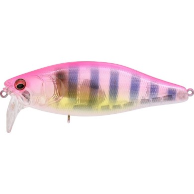GP PINK GILL (SP-C)