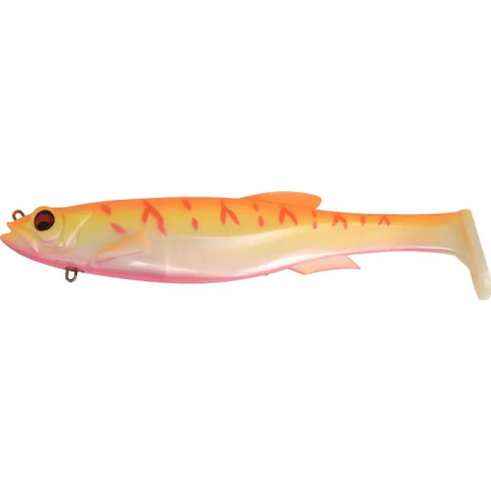 UF ALBINO TIGER (SP-C)