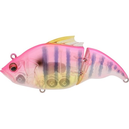 GP PINK GILL (SP-C)