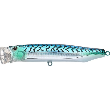 Blue Mackerel