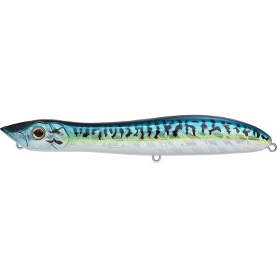 Blue Mackerel