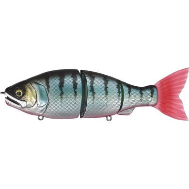 RED FIN PERCH