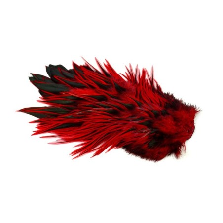 Badger dyed Red