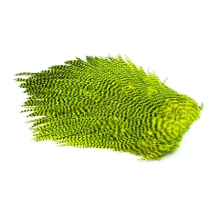 Grizzly dyed Fl. Yellow Chartreuse