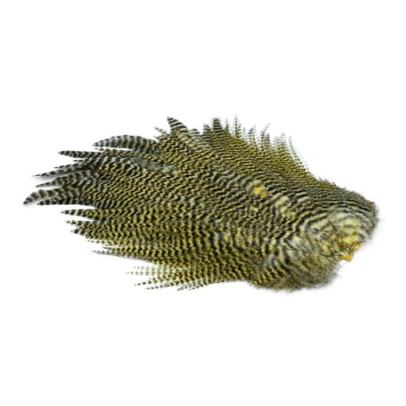 Grizzly dyed Pale Yellow