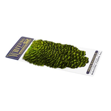 Grizzly dyed Fl Grn Chart