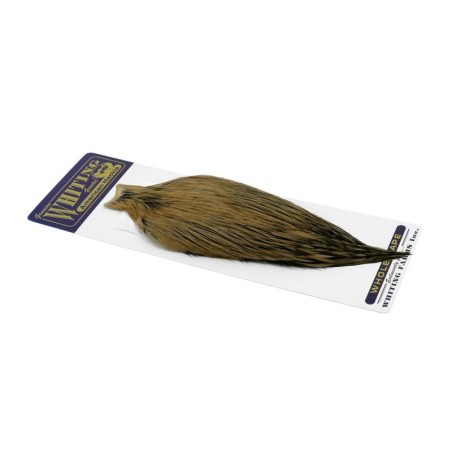 Black laced White dyed Tan