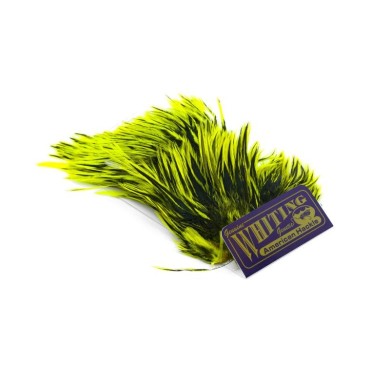 Black laced White dyed Fl. Yellow Chartr