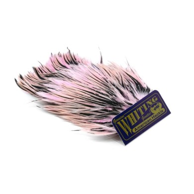 Black laced White dyed Shell Pink