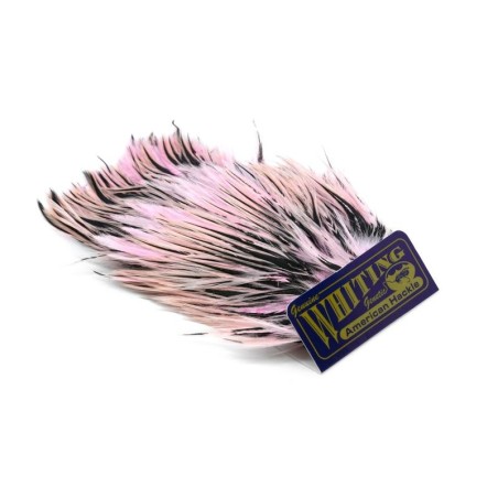 Black laced White dyed Shell Pink