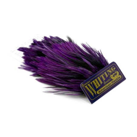 Black laced White dyed Purple