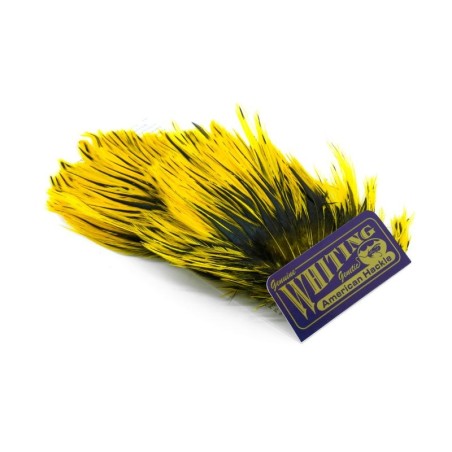 Black laced White dyed Yellow