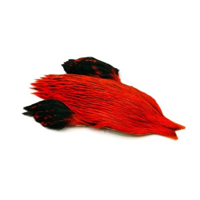 Whiting Farms Brahma Rooster Cape-