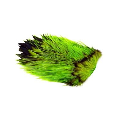Badger dyed Fl Green Chartr
