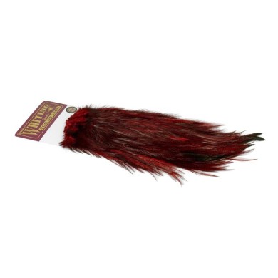 Pardo dyed Red