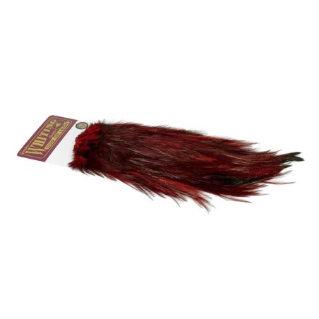 Pardo dyed Red
