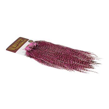 Grizzly dyed Shell Pink