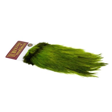 Pardo dyed Fl Green Chartreuse