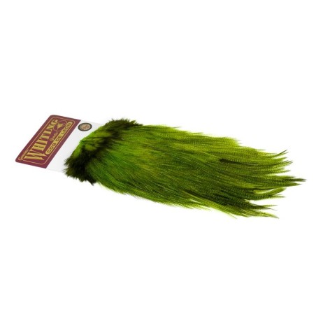 Pardo dyed Fl Green Chartreuse