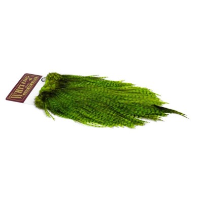 Grizzly dyed Fl Grn Chart