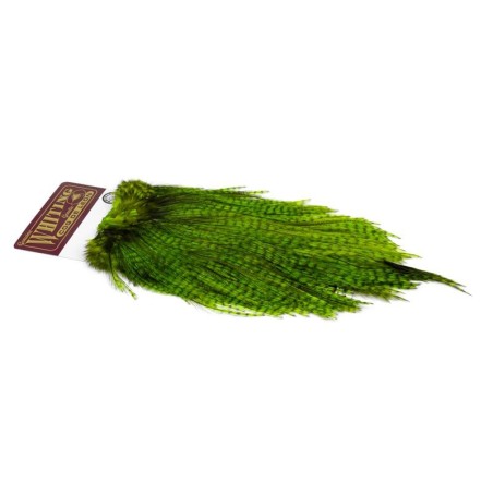 Grizzly dyed Fl Grn Chart