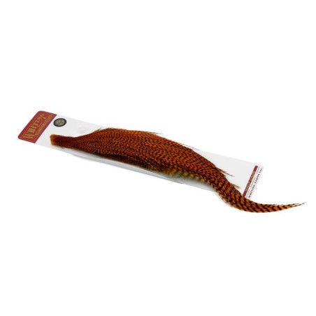 Grizzly dyed Burnt Orange