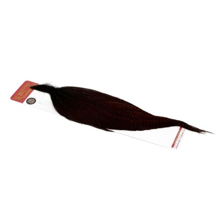 Grizzly dyed Coachman Brown