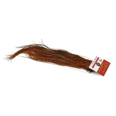 Grizzly dyed Golden Brown