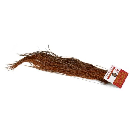 Grizzly dyed Golden Brown